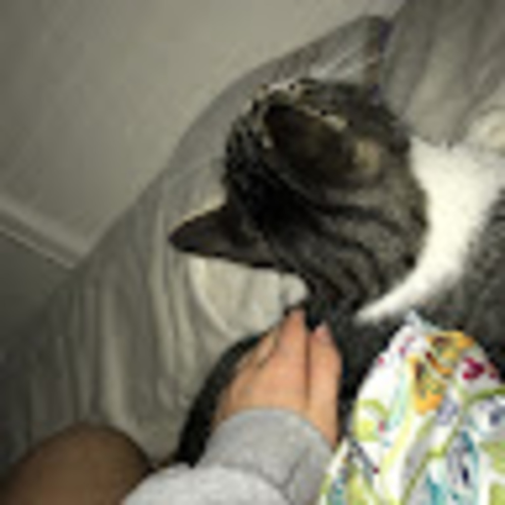 Meet your Posher, Maggie